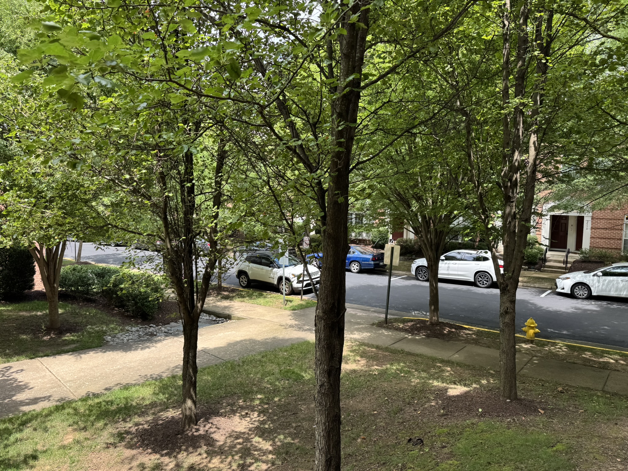 2503 Eastbourne Drive - 1